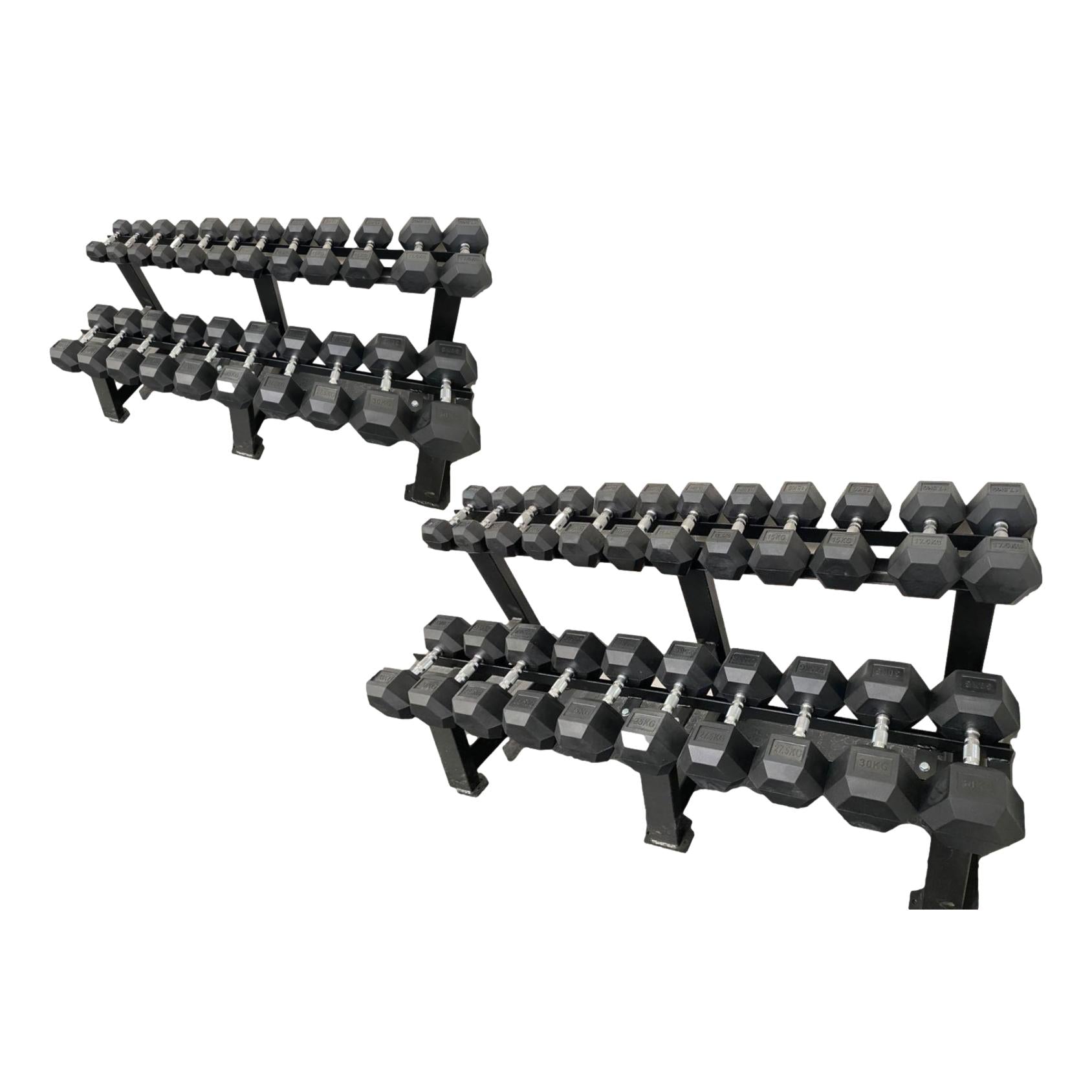 32.5kg - 50kg Hex Dumbbells Set + 2 Tier Commercial Dumbbell Rack